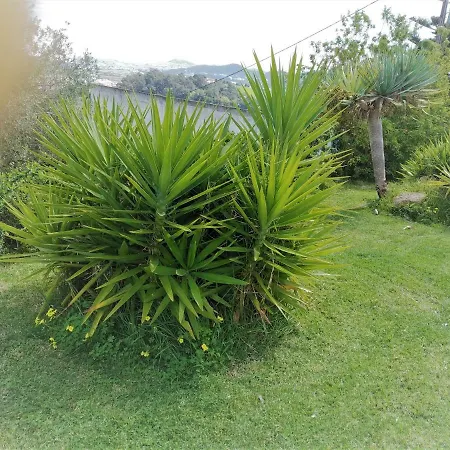 Quinta Da Brunette 马夫拉